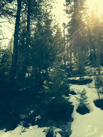 Photo credit: Joyce McDaniel