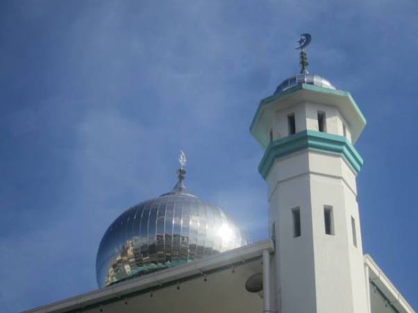 Photo credit: Thad Ross