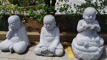 13077392_10154894382678475_240017901_n