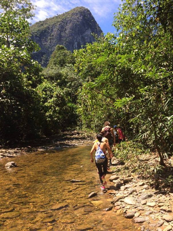 13598971_10155071592628475_1809866371_n