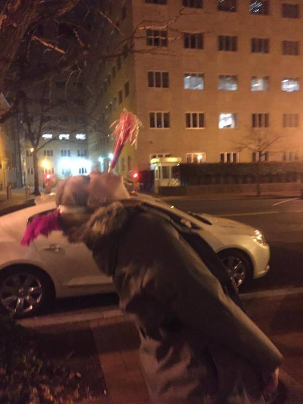 15909952_10155630270443475_131783486_n