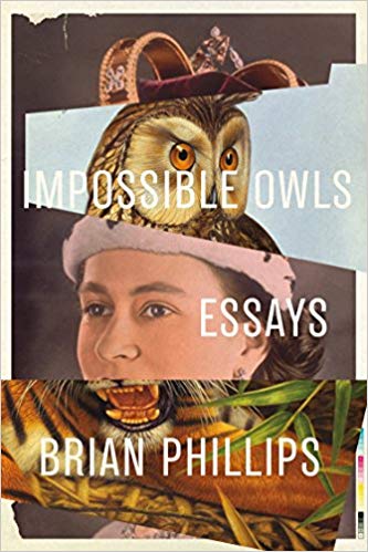 impossible owls